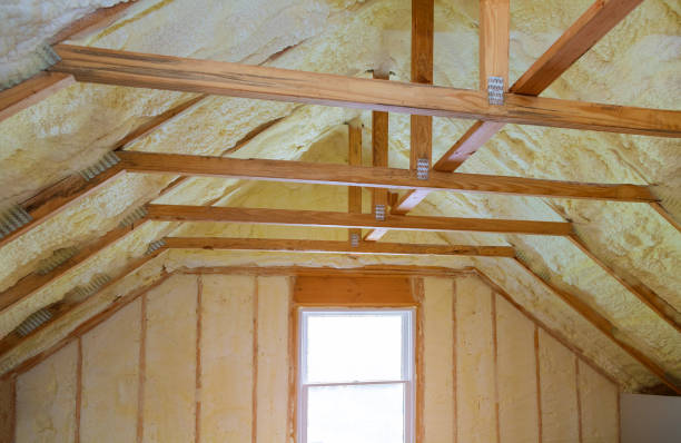 Best Insulation Contractor Near Me  in Mount Carroll, IL