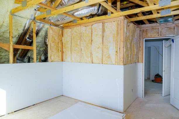 Best Insulation Contractors for Homes  in Mount Carroll, IL