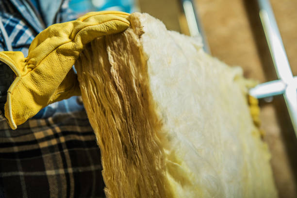 Insulation Contractors for Homes in Mount Carroll, IL