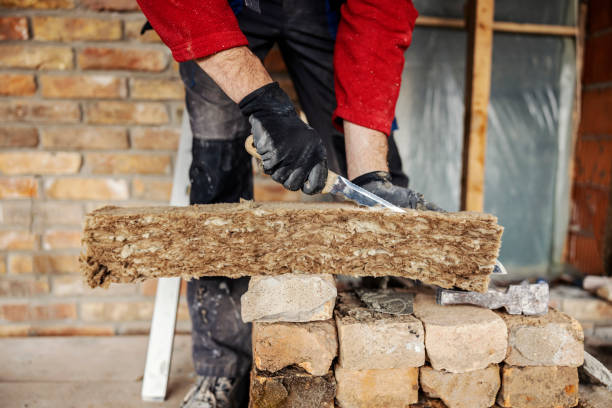 Best Insulation Inspection Services  in Mount Carroll, IL