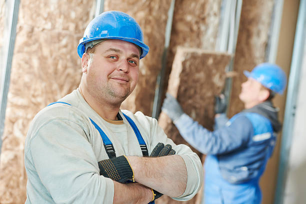 Best Soundproof Insulation Installation  in Mount Carroll, IL